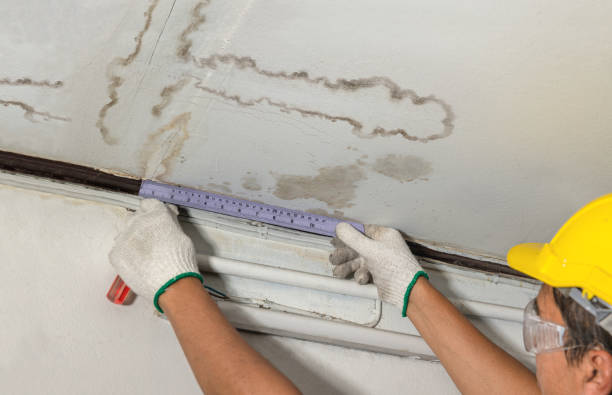 Reliable Water Damage contractor in Gunlock, UT by Water Damage Irwin